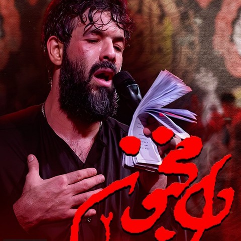دانلود مداحی حسین ستوده دل مجنون 2